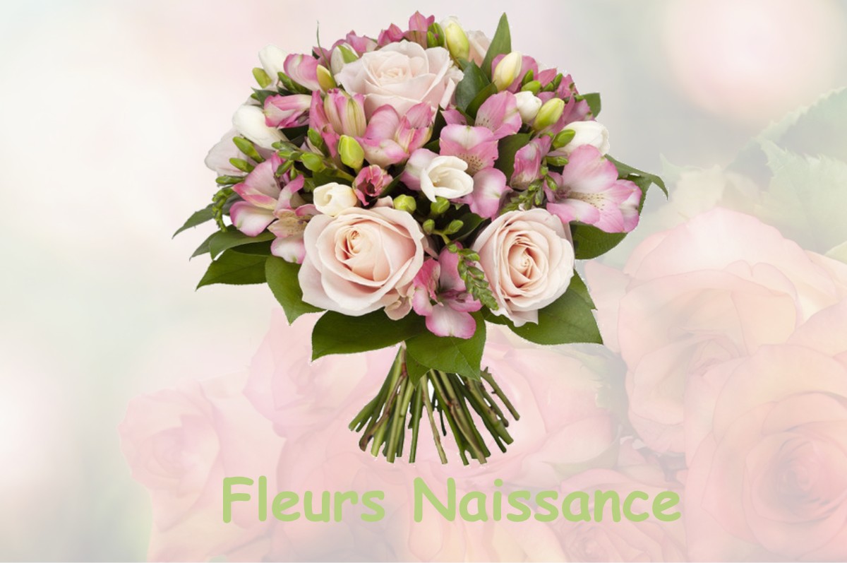 fleurs naissance MONTBERAUD